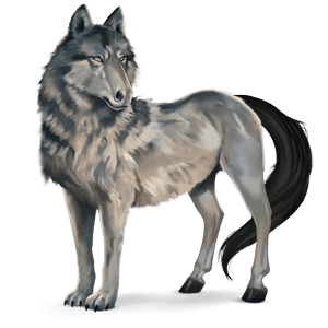 wild horse wolf