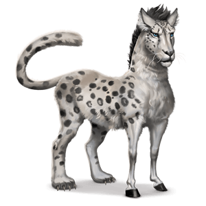 wild horse snow leopard