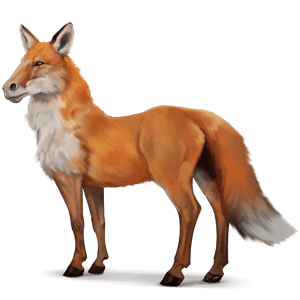 wild horse fox