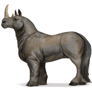 wild horse rhinoceros