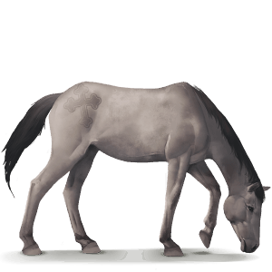 wild horse dülmen pony