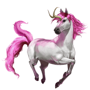 divine horse lille