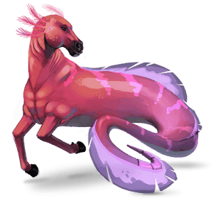 riding horse thoroughbred strawberry roan