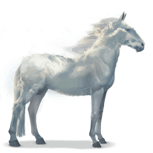 water horse cloud