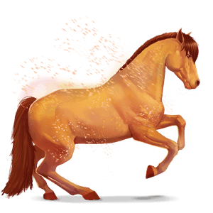 horse of the rainbow cool carrot