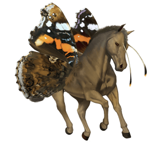 riding pegasus brumby palomino