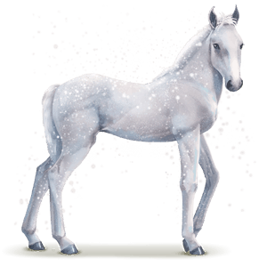 Snowflake, Water horse Snowflake #31170964 - Howrse