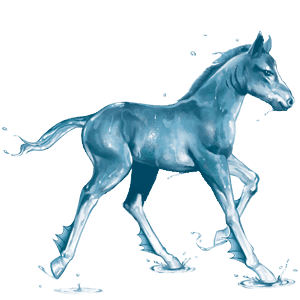 water horse ocean