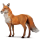 chimerique-renard.png