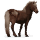 poney-ile-de-sable.png