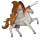 wandering horse daggerwing