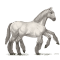 sleipnir-blanc.png