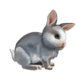 compagnon-  lapin.png