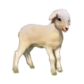 compagnon-mouton.png