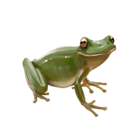 compagnon-grenouille.png