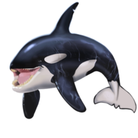 Orca