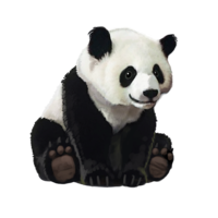 compagnon-panda.png