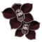 https://www.howrse.com/media/equideo/image/produits/60/orchidee-noire.png?zerjkgzey&zerjkgzey